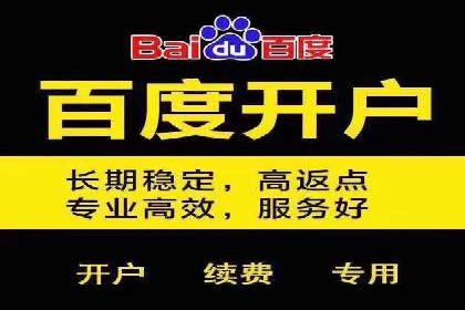 某电商平台的SEM优化托管实践与效果评估